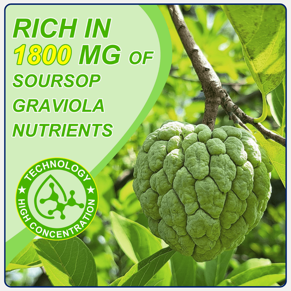 60ml Pure Graviola Soursop Liquid Drops 1800mg Fruit & Leaf Extract - Image 11