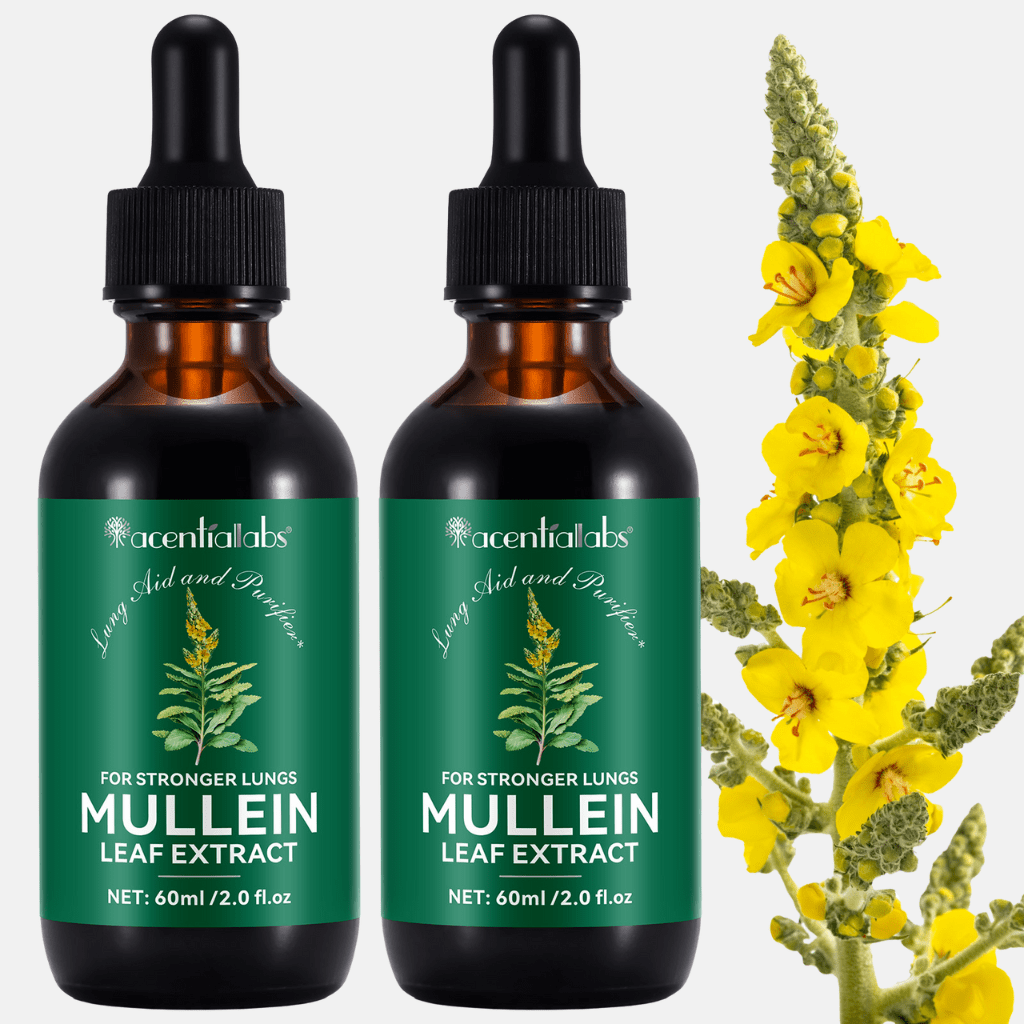 Mullein Leaf Extract Drops – Natural Liquid Herbal Tincture with Dropper - Image 3